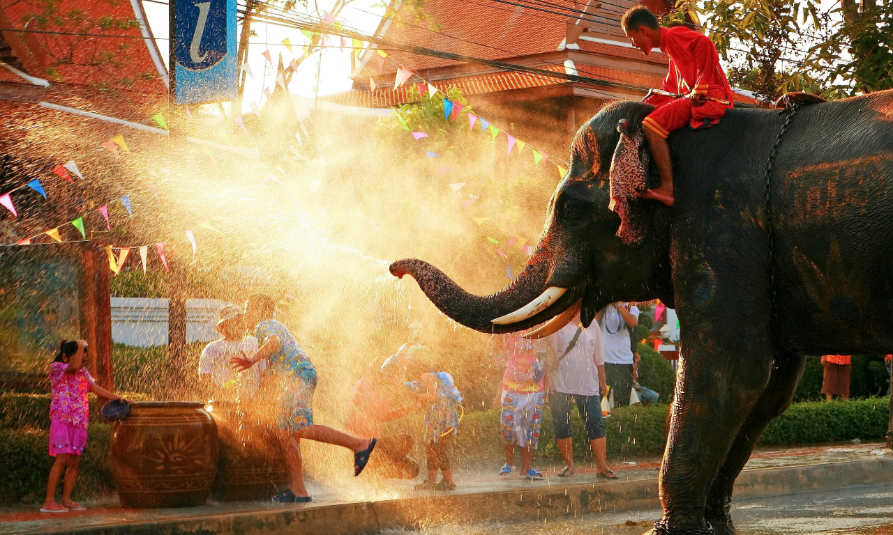 株式会社友部電機工業の社員旅行の様子。タイで大きな象が水しぶきを上げている。